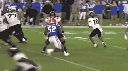 Gators Fighting Team GIF