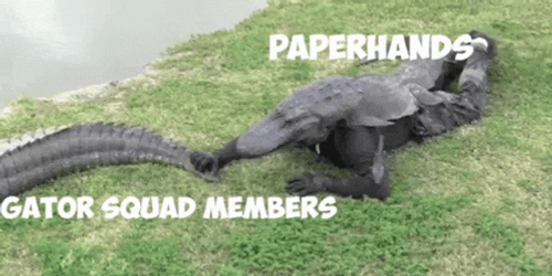 Gators In The Lake Shore GIF