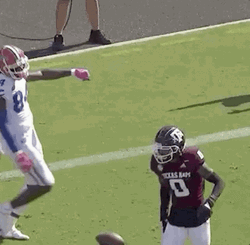 Gators Naughty Player GIF