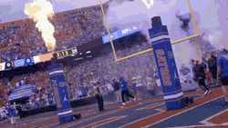 Gators Welcome Entrance GIF