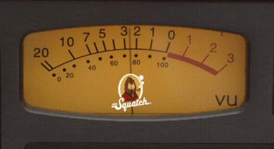 Gauge With Monkey And Word Squatch GIF