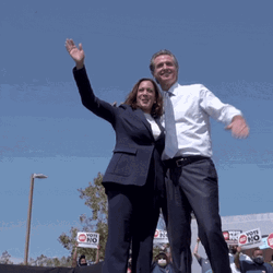 Gavin Newsom And Kamala Harris No Vote GIF