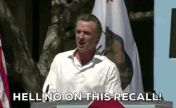 Gavin Newsom Hell No To Recall GIF