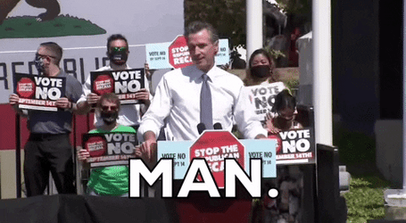 Gavin Newsom Man GIF