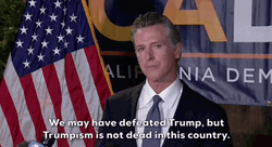 Gavin Newsom May You Defeated Trump GIF