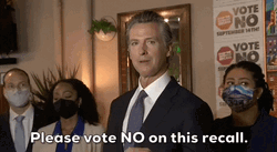 Gavin Newsom Please Vote No On This Recall GIF
