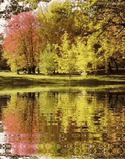 Gazebo Surrounded By Flowers And Trees GIF