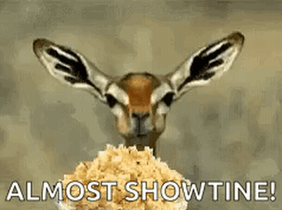 Gazelle Eating Popcorn Almost Showtime GIF