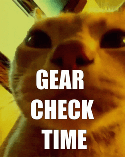 Gear Check Time Cat GIF