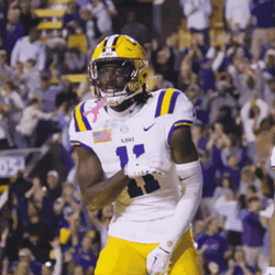 Geaux Tigers Happy Brian Thomas Jr. GIF