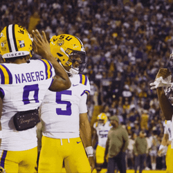 Geaux Tigers Lacy Daniels Dance GIF