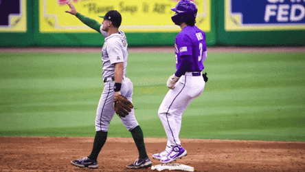 Geaux Tigers Screaming Baseball GIF