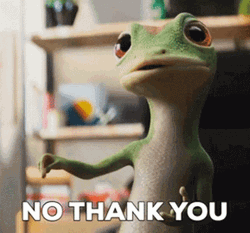 Geico Gecko No Thank You Response GIF