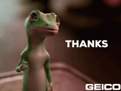 Geico Lizard Giving Thumbs Up GIF