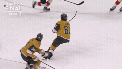 Geico Stanley Cup Final Hockey Game GIF