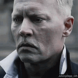 Gellert Grindelwald Clueless Face GIF