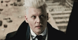 Gellert Grindelwald Talking To Someone GIF