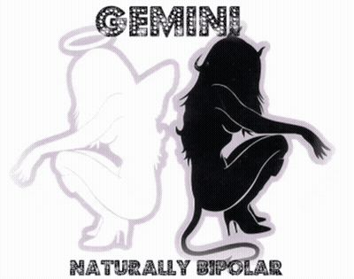 Gemini Naturally Bipolar Sign With Two Silhouettes GIF