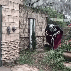 General Grievous Star Wars Costume Cosplay GIF