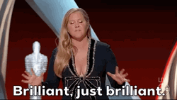 Genius Brilliant Amy Schumer Oscars GIF