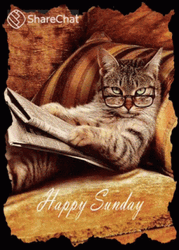 Genuis Cat Happy Fall Sunday GIF