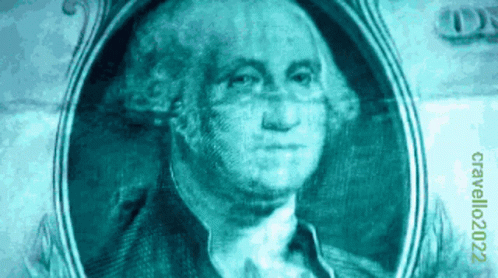George Washington Face On Dollar Bill GIF