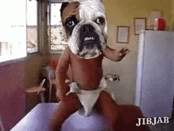 Georgia Bulldogs Baby Dance Face Swap GIF