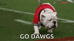 Georgia Bulldogs Beloved Mascot Uga GIF