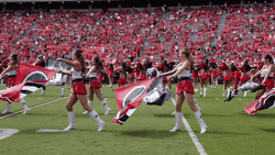 Georgia Bulldogs Cheerleaders Floor Performance GIF