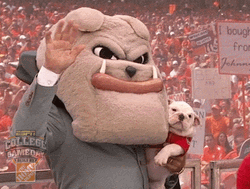 Georgia Bulldogs Mascot Cuddling Uga Bulldog GIF