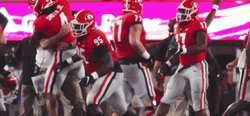 Georgia Bulldogs Solid Team Spirit GIF
