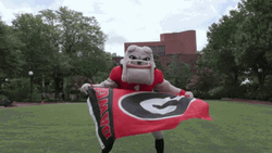 Georgia Bulldogs Uga Mascot Waving Flag GIF
