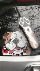 Georgia Dog Waving  GIF