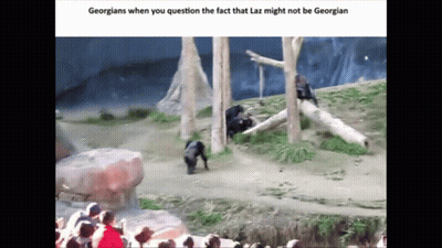 Georgians Question Laz's Georgian Identity GIF