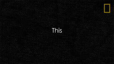 Germ Theory On Black Background GIF