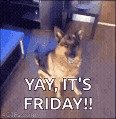 German Shepherd Yay It's Friday GIF