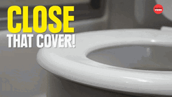 Germs Close That Cover GIF