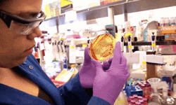 Germs Examination Test GIF