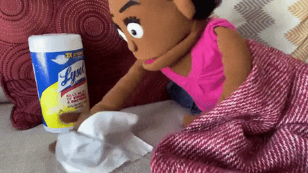 Germs Lysol Clean Up GIF