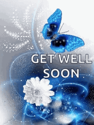 Get Better Soon Blue Butterfly And White Rose GIF