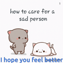 Get Better Soon Sad Couple Cat GIF