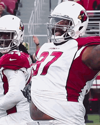 Get In My Belly Simeon Rice AZ Cardinals GIF