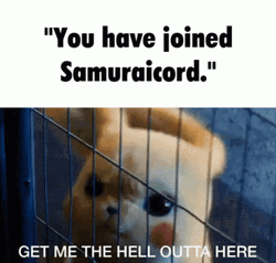 Get Me Out Of Here Samuraicord Pikachu GIF