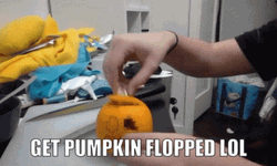 Get Pumpkin Flopped GIF