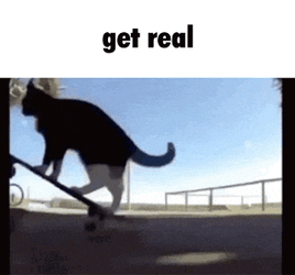 Get Real Cat GIF