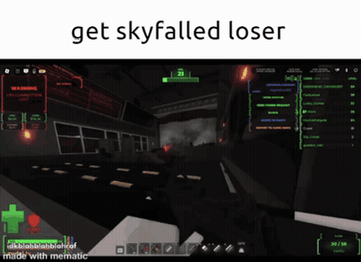 Get Skyfallen Loser Video Game Screen GIF