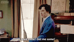 Get Some Benedict Cumberbatch GIF