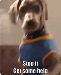 Get Some Help Dog GIF