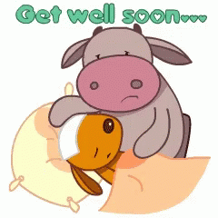 Get Well Soon Cow