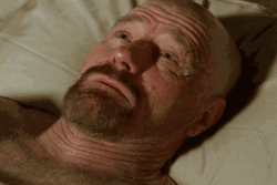 Getting Old Walter White Forehead Neck GIF